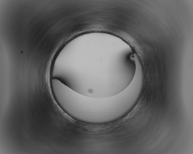 X0000087041334200705160920