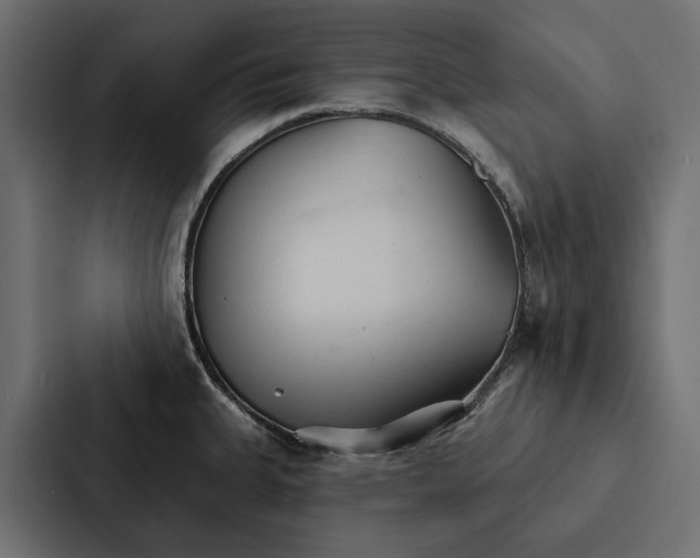 X0000087041335200705160920