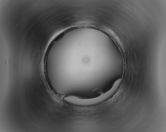 X0000087041336200705160920