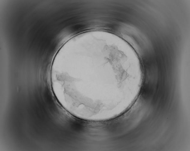 X0000087041338200705160920