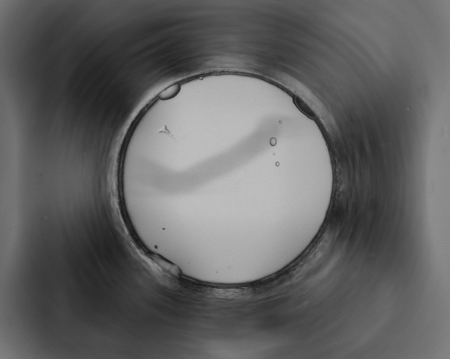 X0000087041339200705160920