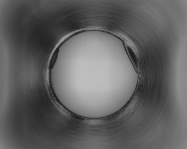 X0000087041340200705160920