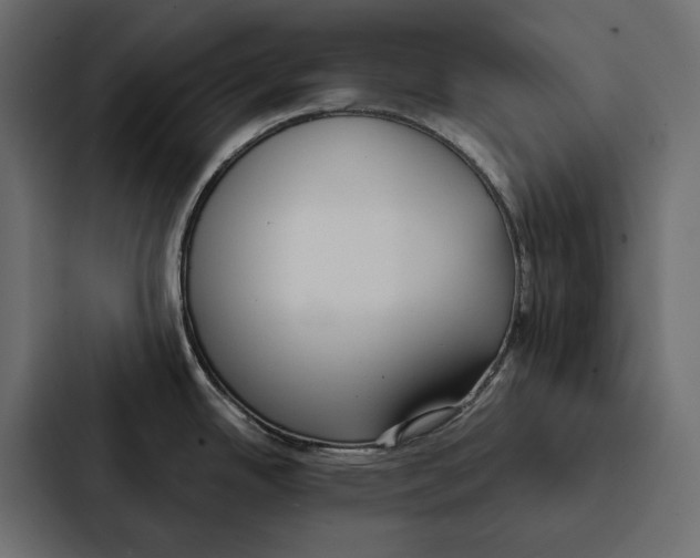 X0000087041342200705160920