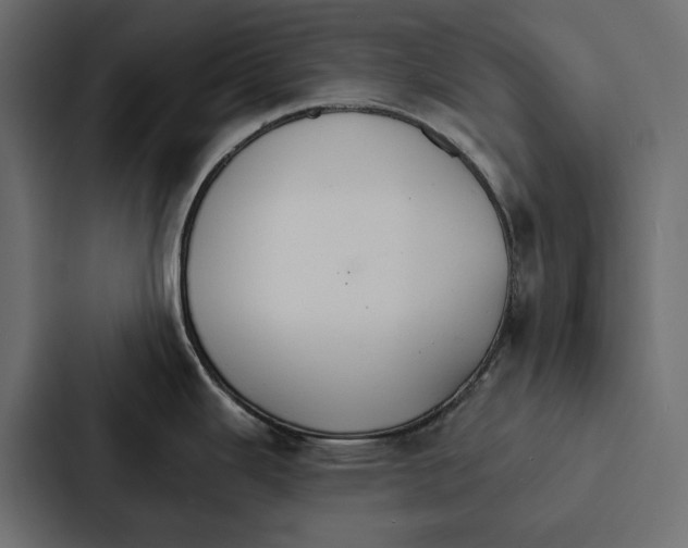 X0000087041343200705160920