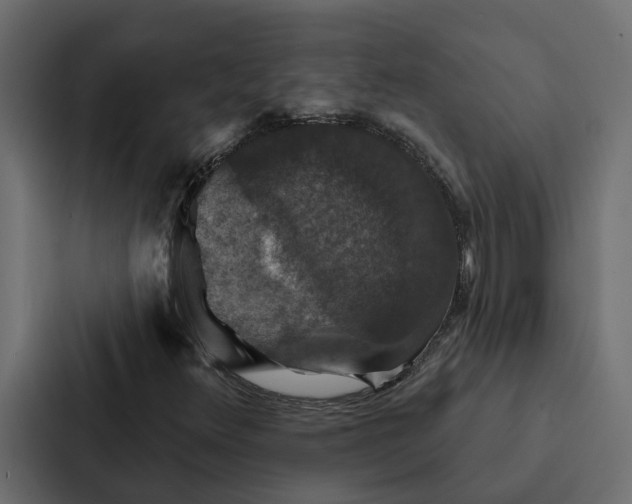 X0000087041348200705160919
