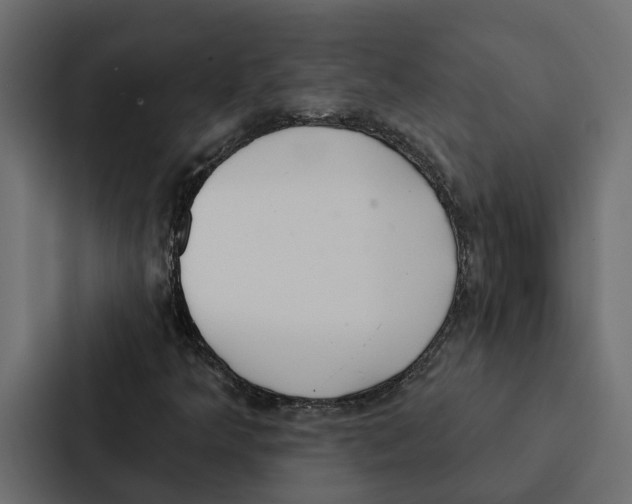 X0000087041349200705160919