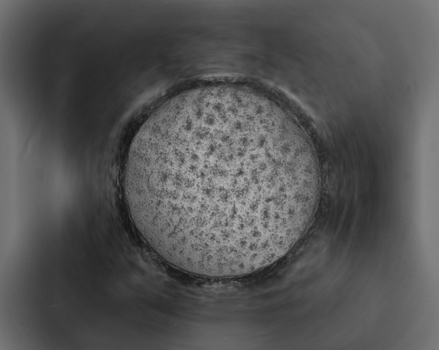 X0000087041351200705160919