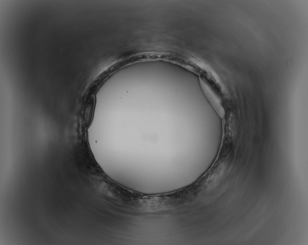 X0000087041352200705160919