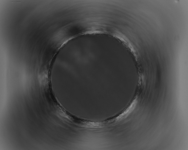 X0000087041353200705160919