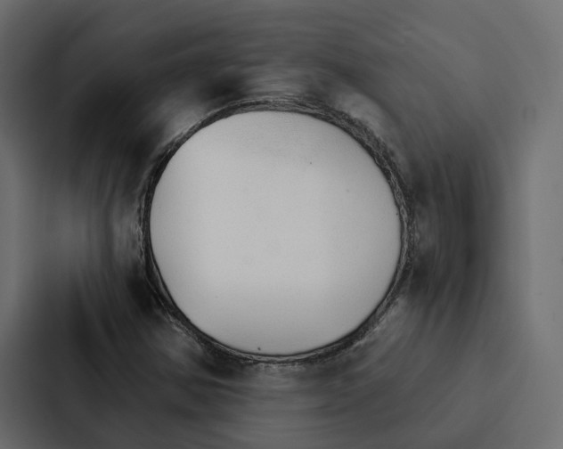 X0000087041354200705160919