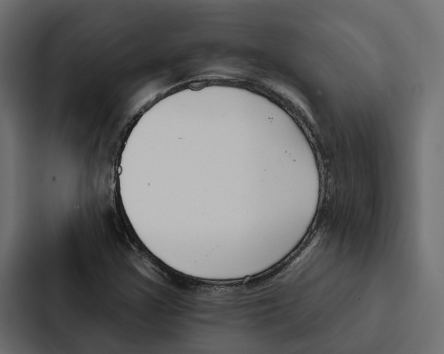 X0000087041355200705160919