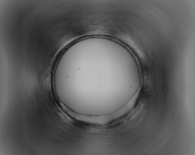 X0000087041356200705160919