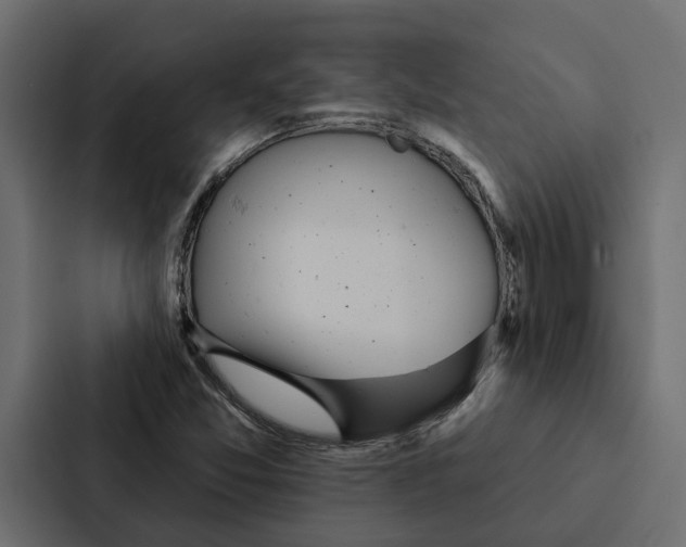 X0000087041357200705160919