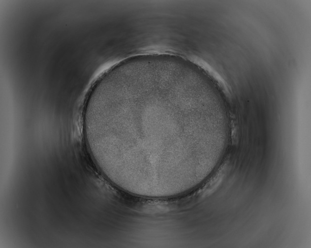 X0000087041358200705160919