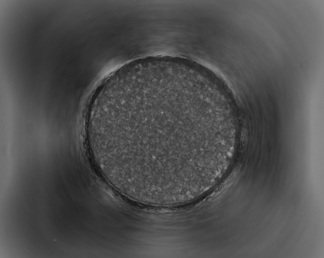 X0000087041359200705160919