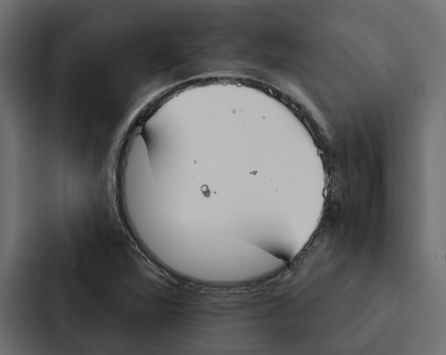 X0000087041360200705160919