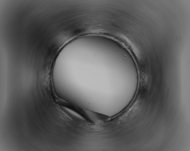 X0000087041361200705160919