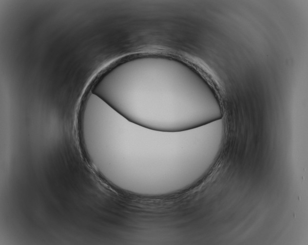 X0000087041364200705160919