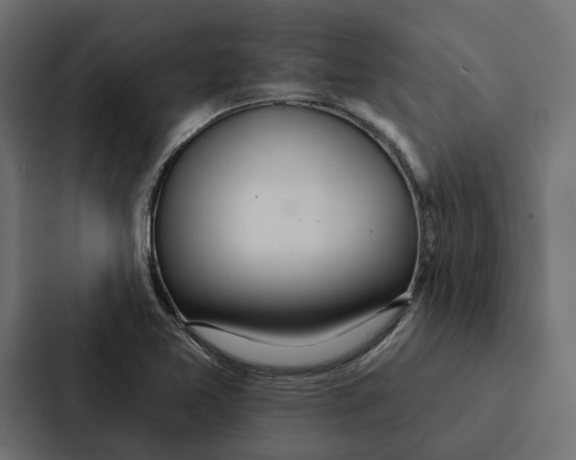 X0000087041365200705160919