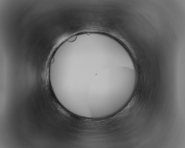 X0000087041366200705160919