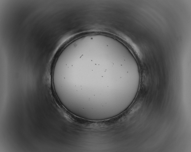 X0000087041368200705160919