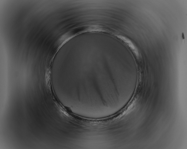 X0000087041369200705160919
