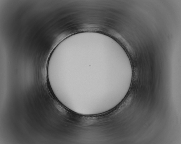 X0000087041370200705160919
