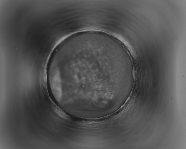 X0000087041372200705160919