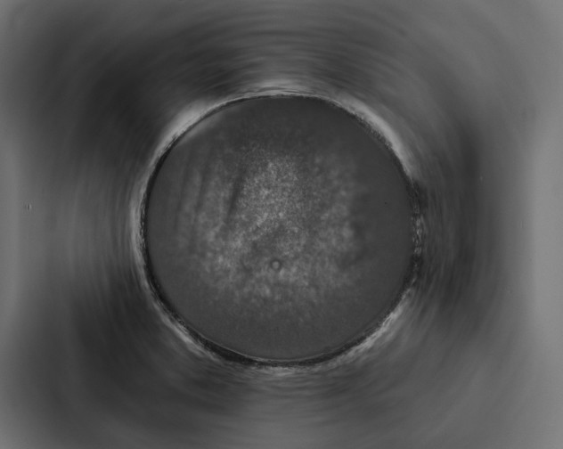 X0000087041373200705160919