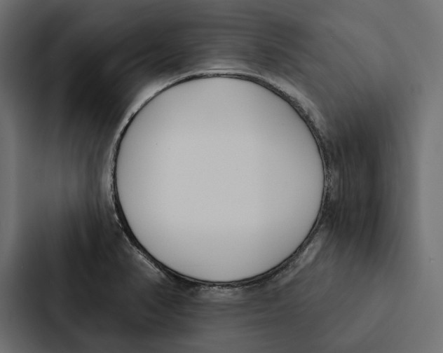 X0000087041374200705160919