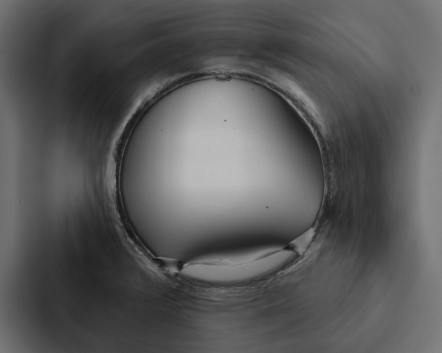 X0000087041376200705160919