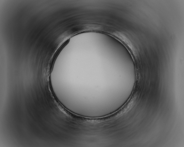 X0000087041377200705160919