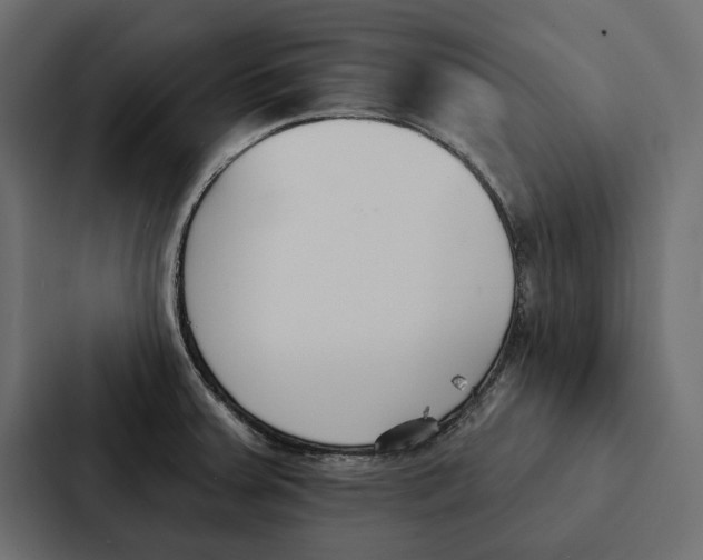 X0000087041379200705160919
