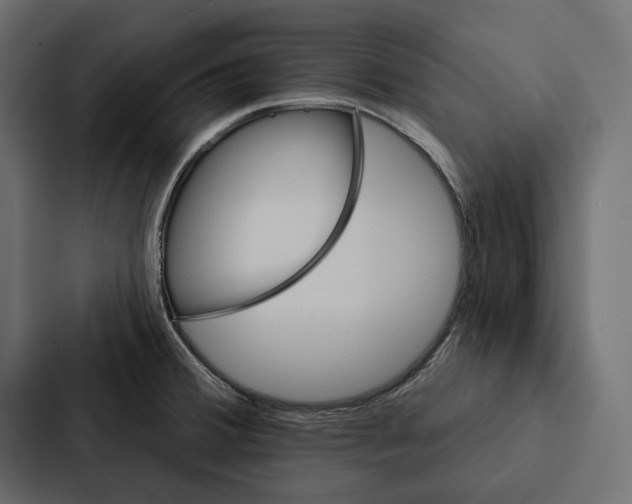 X0000087041380200705160919
