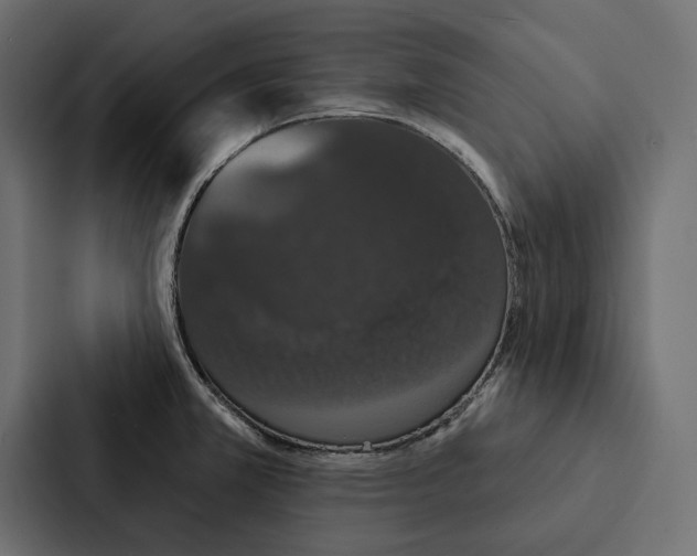 X0000087041381200705160919
