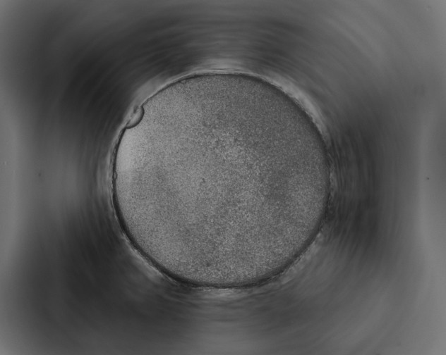 X0000087041382200705160919