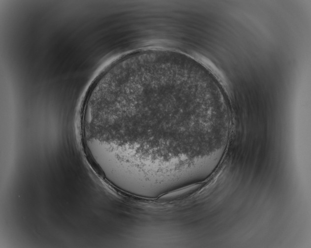 X0000087041384200705160919