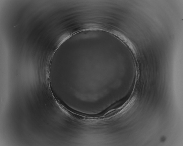 X0000087041385200705160919