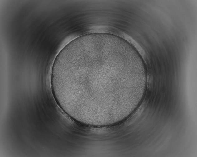 X0000087041386200705160919