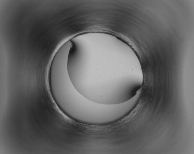 X0000087041387200705160919