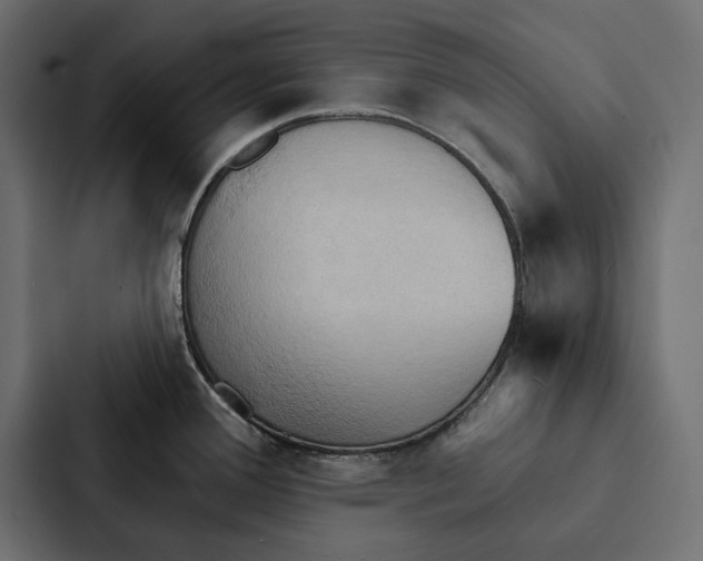 X0000087041388200705160919