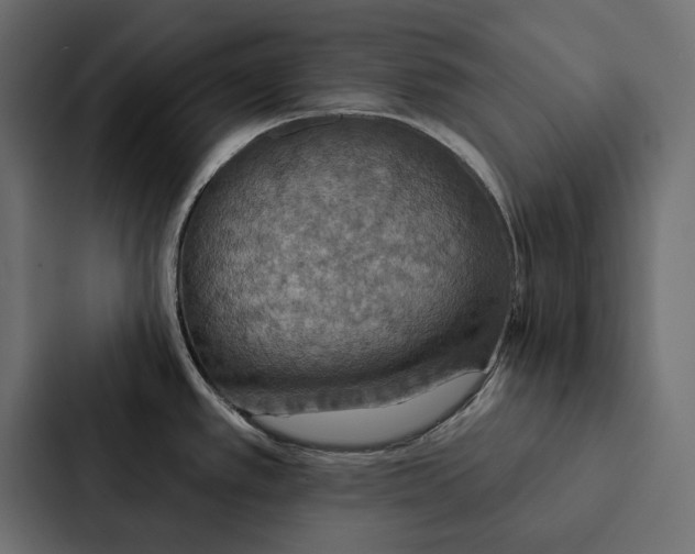 X0000087041389200705160919