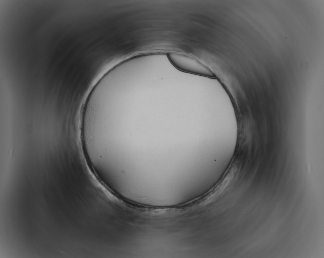 X0000087041390200705160919