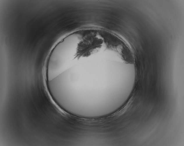 X0000087041391200705160919