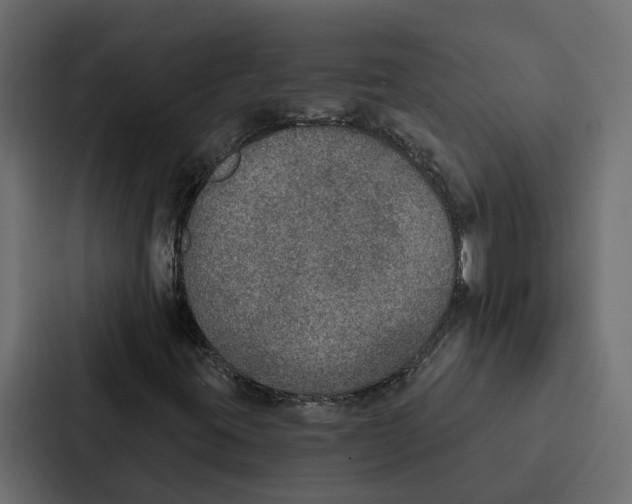 X0000087041395200705160918