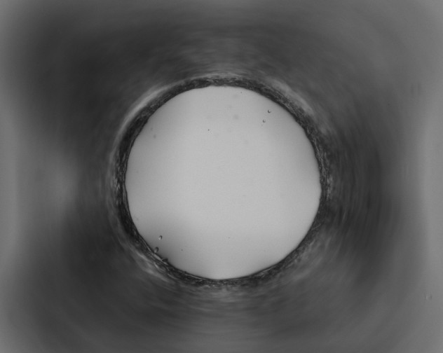 X0000087041400200705160918