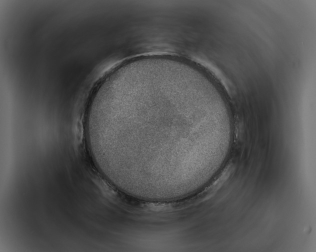 X0000087041407200705160918
