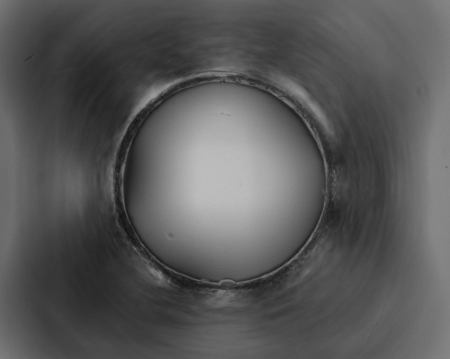 X0000087041412200705160919