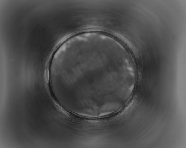X0000087041413200705160919