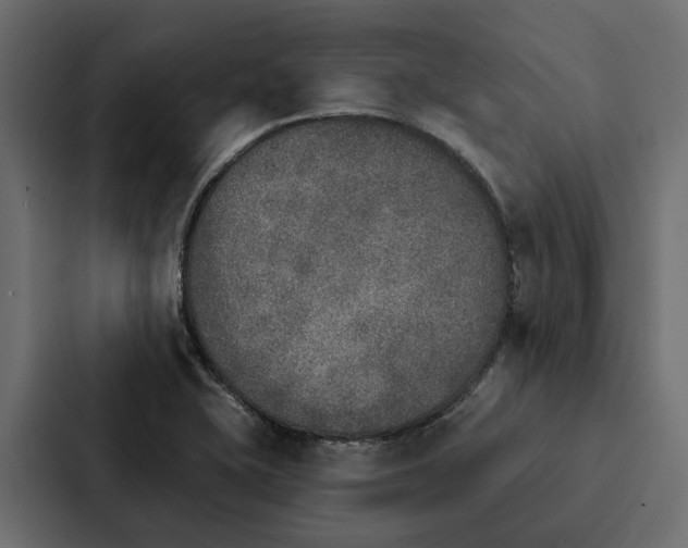 X0000087041415200705160919